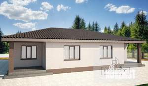 Дом 108м², 1-этажный, участок 4 сот.