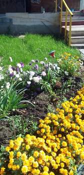 Дом 98м², 1-этажный, участок 8 сот.