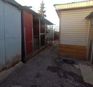 Дом 68м², 1-этажный, участок 3 сот.