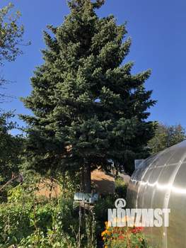 Дом 56м², 2-этажный, участок 6 сот.