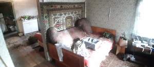 Дом 36м², 1-этажный, участок 8 сот.  