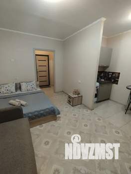 Студия квартира, посуточно, 30м2, 5/10 этаж