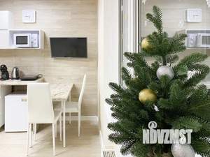 Студия квартира, посуточно, 26м2, 7/10 этаж