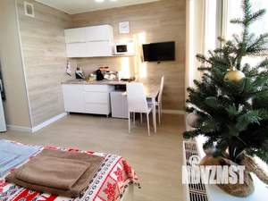 Студия квартира, посуточно, 26м2, 7/10 этаж