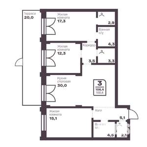 3-к квартира, вторичка, 100м2, 1/10 этаж