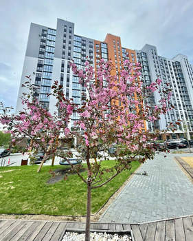 3-к квартира, строящийся дом, 87м2, 2/10 этаж
