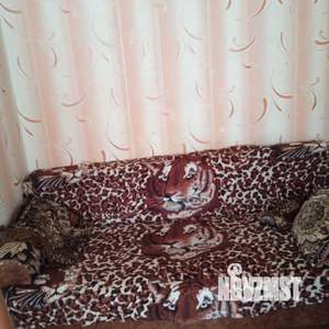 1-к квартира, вторичка, 22м2, 4/9 этаж