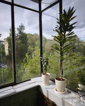 2-к квартира, вторичка, 49м2, 4/4 этаж